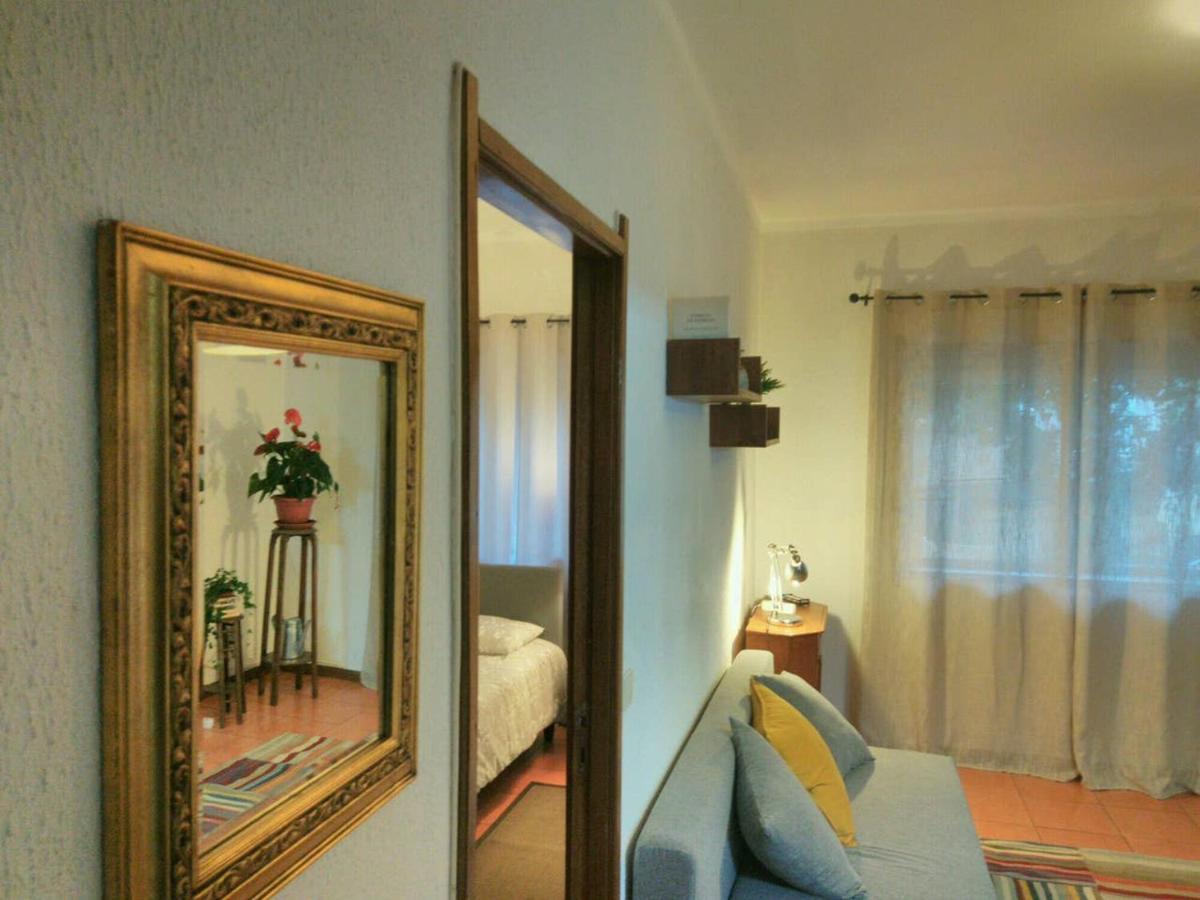 ! Free Parking Street ! Ground Floor With Washer! Porto Exteriér fotografie