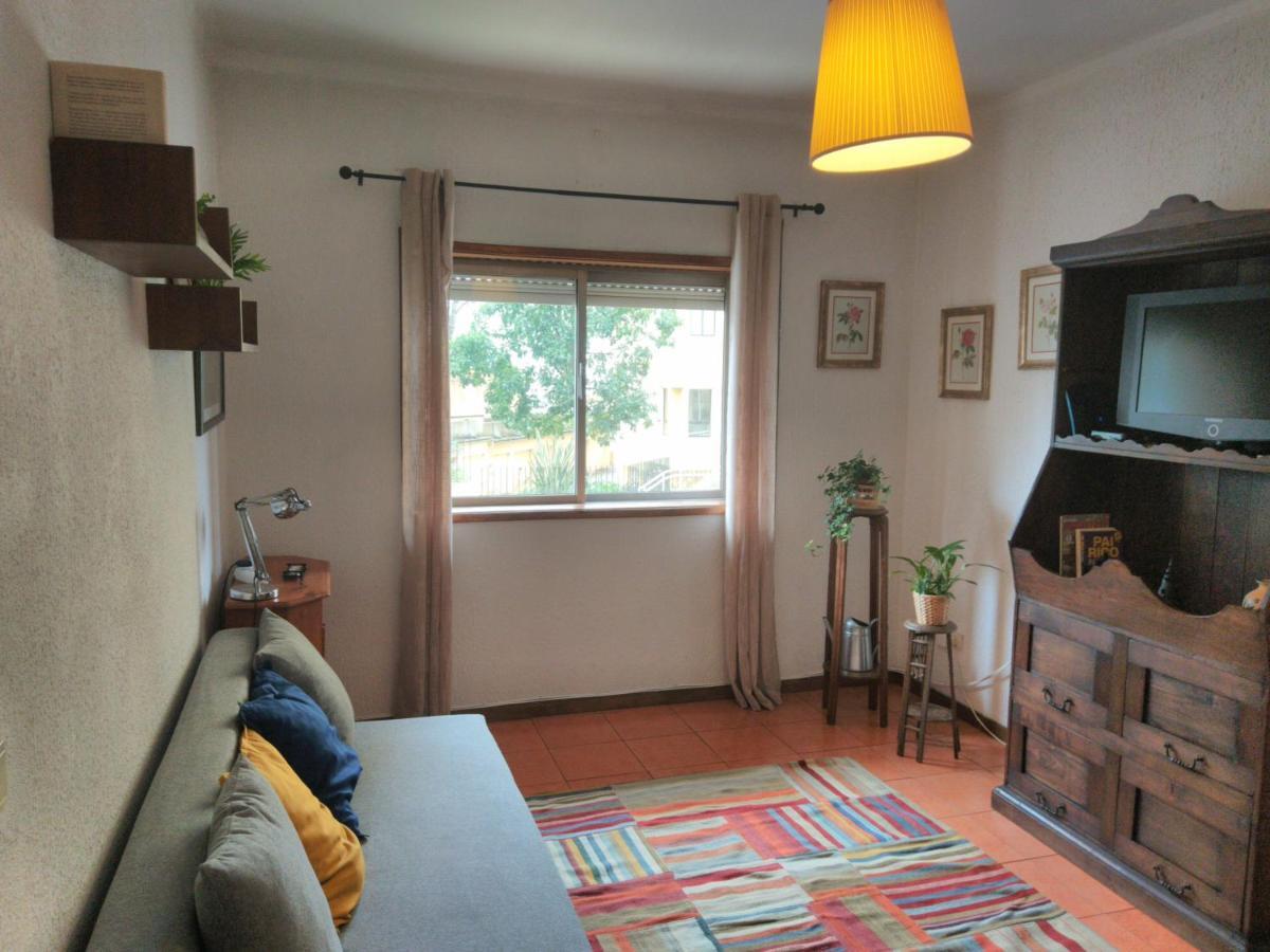 ! Free Parking Street ! Ground Floor With Washer! Porto Exteriér fotografie